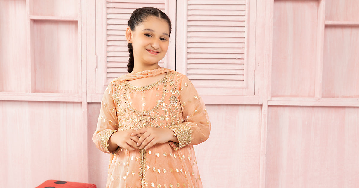 3 Piece Embroidered Organza Suit