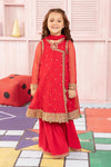 3 Piece Embroidered Net Suit