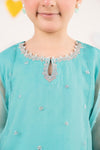 2 Piece Embroidered Organza Suit
