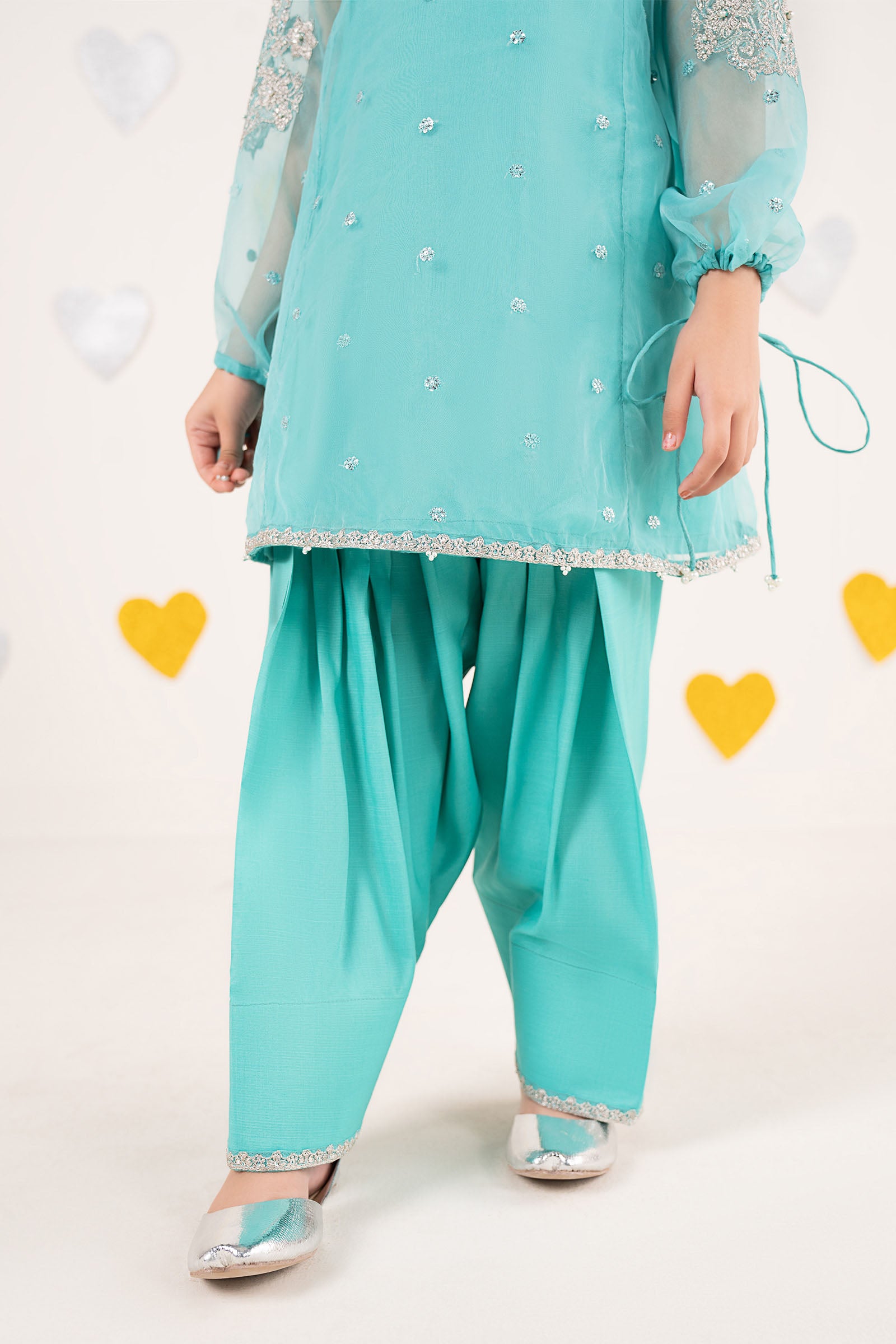 2 Piece Embroidered Organza Suit