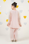 2 Piece Embroidered Organza Suit