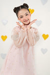 2 Piece Embroidered Organza Suit