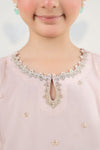 2 Piece Embroidered Organza Suit
