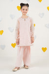 2 Piece Embroidered Organza Suit