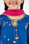 3 Piece Embroidered Organza Suit