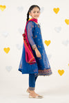 3 Piece Embroidered Organza Suit