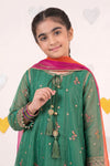 3 Piece Embroidered Organza Suit