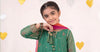 3 Piece Embroidered Organza Suit