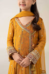 3 Piece Embroidered Poly Net Suit