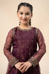 3 Piece Embroidered Cotton Net Suit