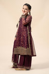 3 Piece Embroidered Cotton Net Suit