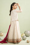 3 Piece Embroidered Organza Suit