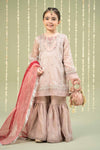 3 Piece Embroidered Zari Net Suit