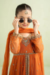 3 Piece Embroidered Net Suit