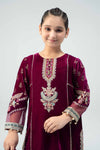 3 Piece Embroidered Velvet Suit