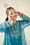2 Piece Embroidered Organza Suit