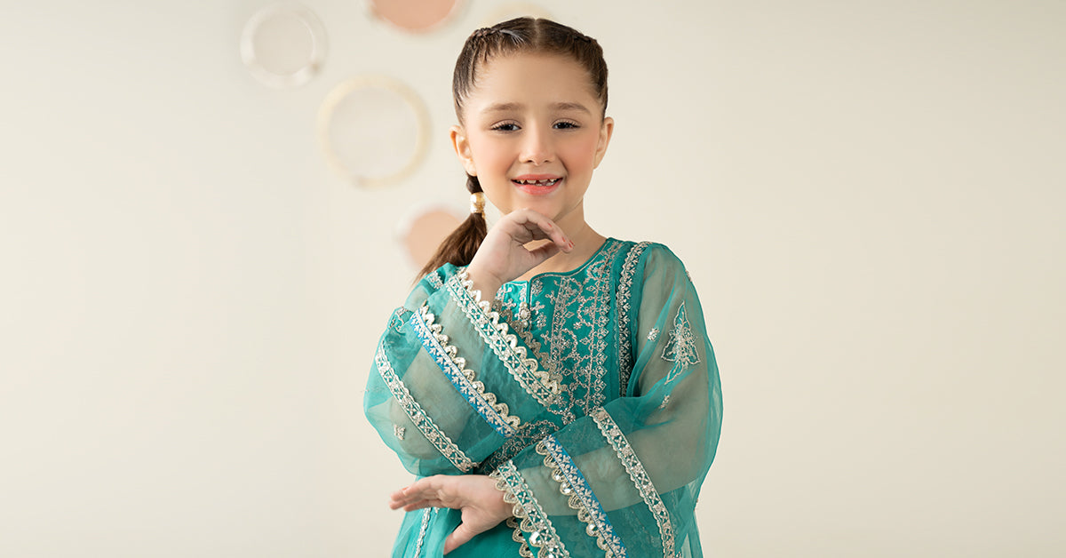 2 Piece Embroidered Organza Suit