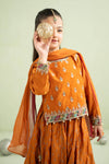 3 Piece Embroidered Silk Net Suit