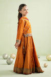 3 Piece Embroidered Silk Net Suit