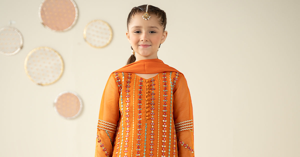 3 Piece Embroidered Organza Suit