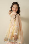 3 Piece Embroidered Organza Suit