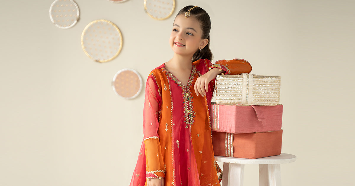 3 Piece Embroidered Organza Suit