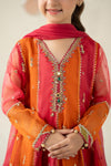 3 Piece Embroidered Organza Suit