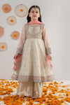 3 Piece Embroidered Net Suit