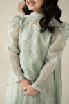 3 Piece Embroidered Organza Suit