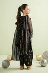 3 Piece Embroidered Lurex Organza Suit