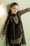 3 Piece Embroidered Lurex Organza Suit