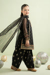3 Piece Embroidered Lurex Organza Suit