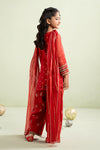3 Piece Embroidered Lurex Organza Suit