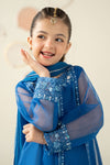 3 Piece Embroidered Organza Suit