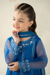 3 Piece Embroidered Organza Suit