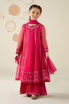 3 Piece Embroidered Organza Suit