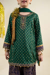 3 Piece Embroidered Raw Silk Suit