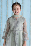 3 Piece Embroidered Organza Suit