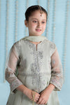 3 Piece Embroidered Organza Suit
