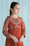 3 Piece Embroidered Net Suit