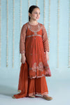 3 Piece Embroidered Net Suit