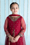 3 Piece Embroidered Organza Suit