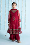 3 Piece Embroidered Organza Suit