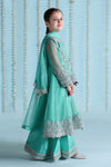 3 Piece Embroidered Organza Suit