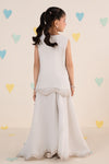 2 Piece Embroidered Chiffon Suit
