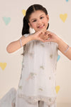 2 Piece Embroidered Chiffon Suit