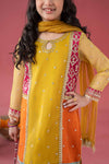 3 Piece Embroidered Poly Organza Suit