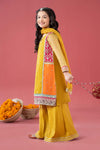 3 Piece Embroidered Poly Organza Suit