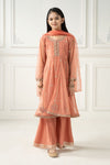 3 Piece Embroidered Polyester Net Suit