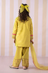 3 Piece Embroidered Lawn Suit